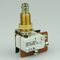 Essen 16a 2P 31mm plunger Switch