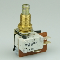 Essen 16a 2P 31mm plunger Microswitch