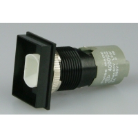 TH4 18 x 24mm momentary Pushbutton
