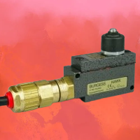 **See Steute EX12W-S for possible alt**