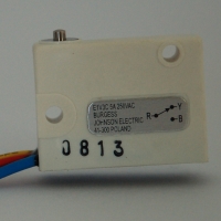 Ex 5a Switch with pin actuator