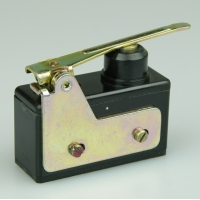 Essen 56mm lever actuator Microswitch