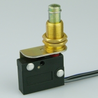 Essen Deink IP67 plunger actuator Microswitch