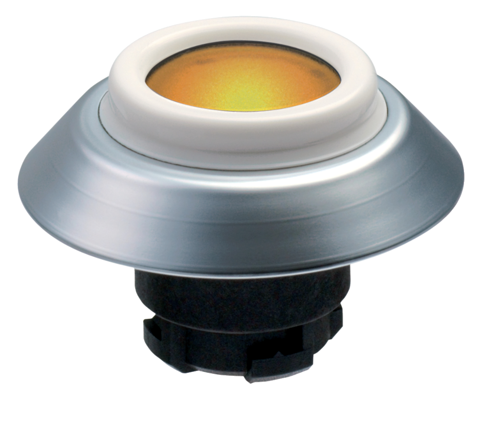 Item No: 101163545