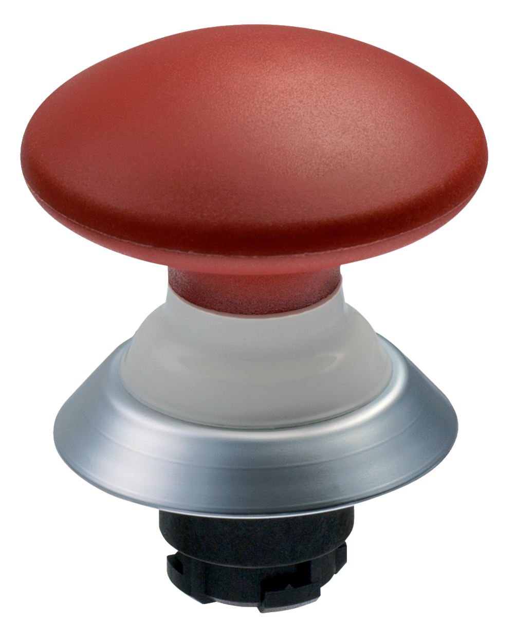 Item No: 101163574