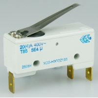 Saia microswitch