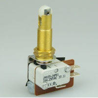 Essen 2MV2524PR1 16a Microswitch with 41mm roller lever actuator