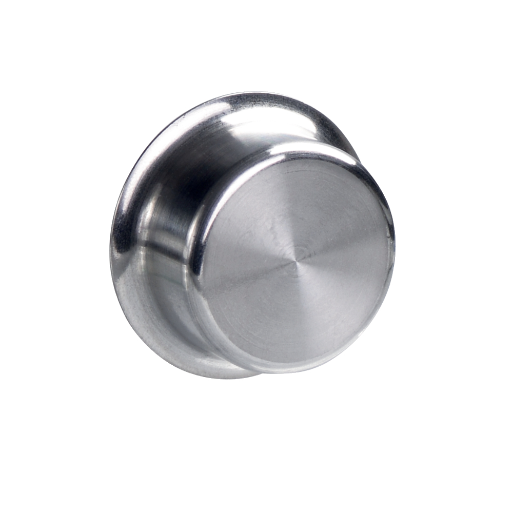 Schmersal BPS 303 SS Magnetic Actuator